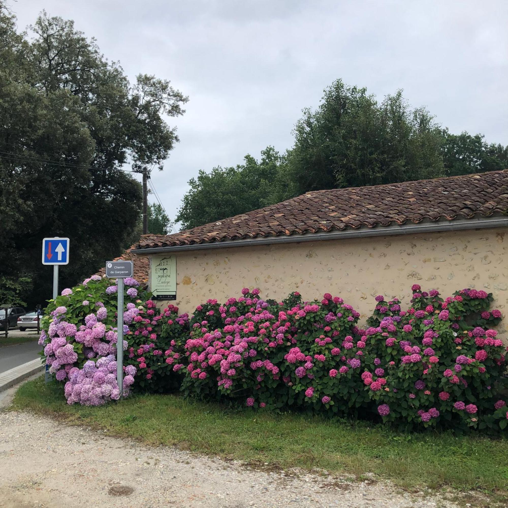 Domaine De Ludeye Hotel Listrac-Médoc Exterior foto